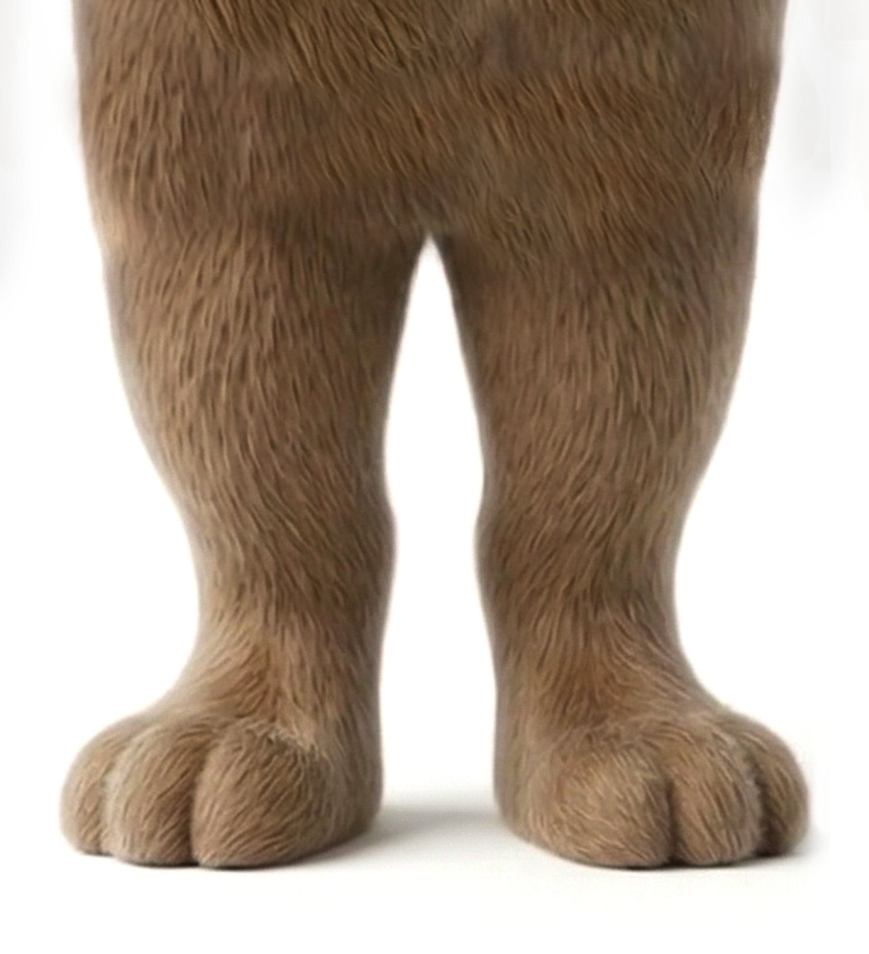 Détail de pieds, vue de face